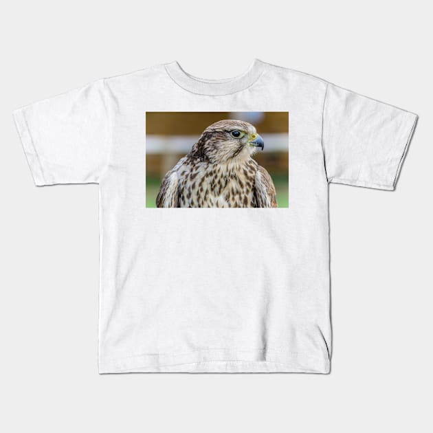 Bird of prey - Kestrel Kids T-Shirt by millroadgirl